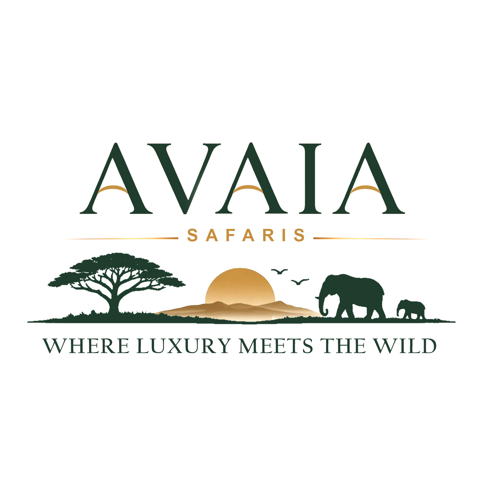 AVAIA SAFARIS - Luxury Safari Experience
