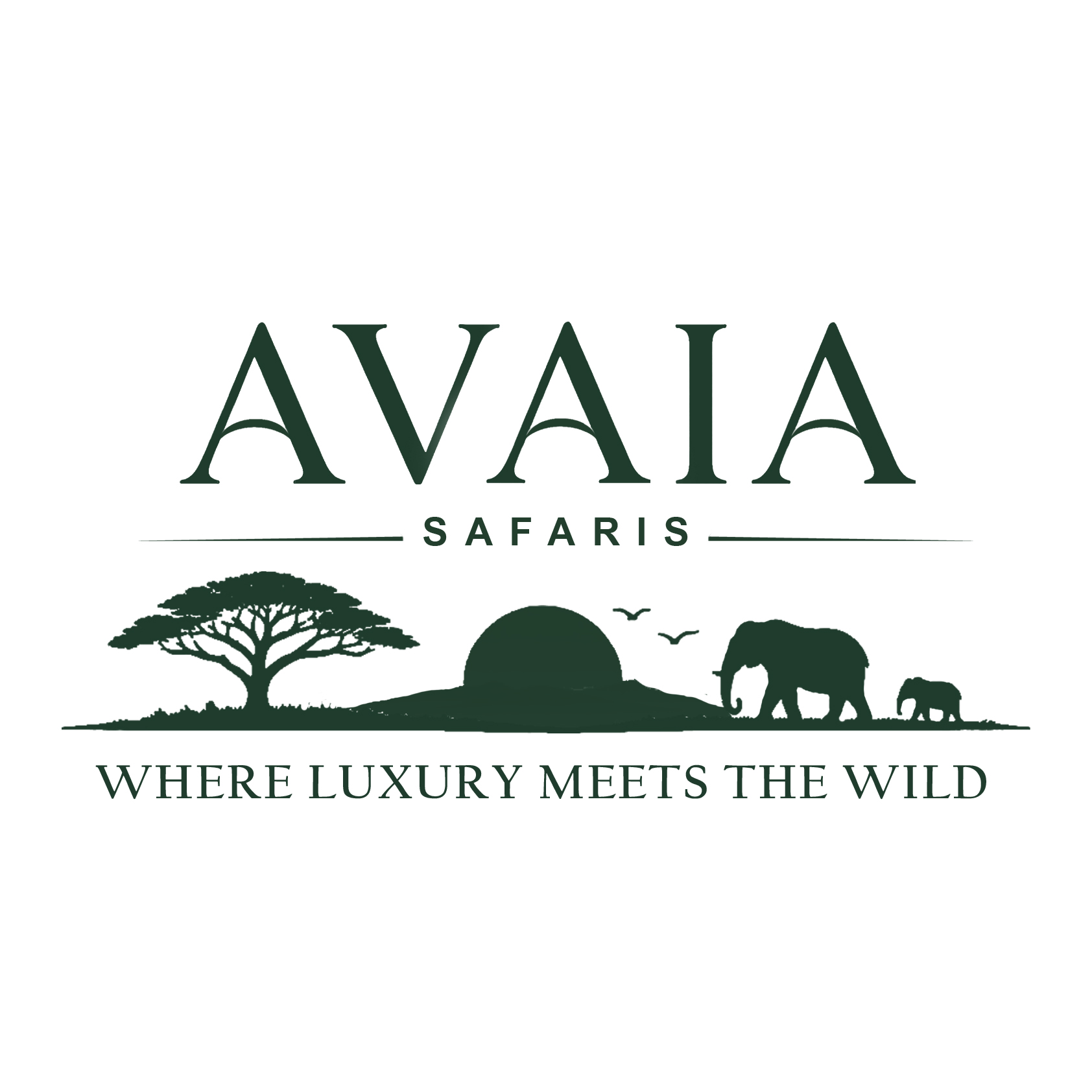 AVAIA SAFARIS - Luxury Safari Company